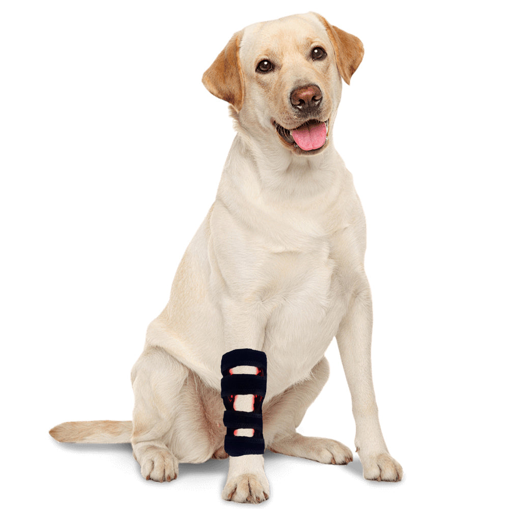 Vita Pet Red Light Joint Pad